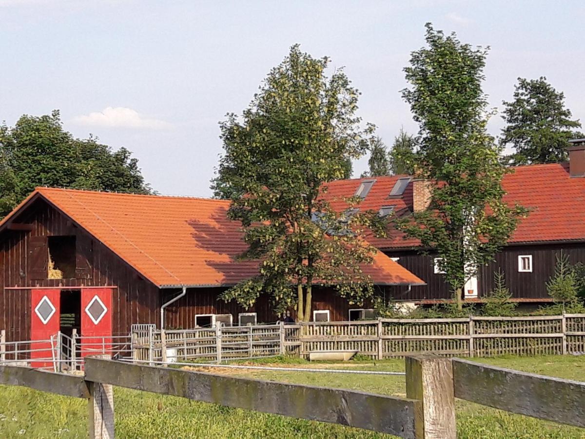 Ferienwohnung Im Dreiländereck - DOM PRZY TRZECH GRANICACH Löschney Exterior foto