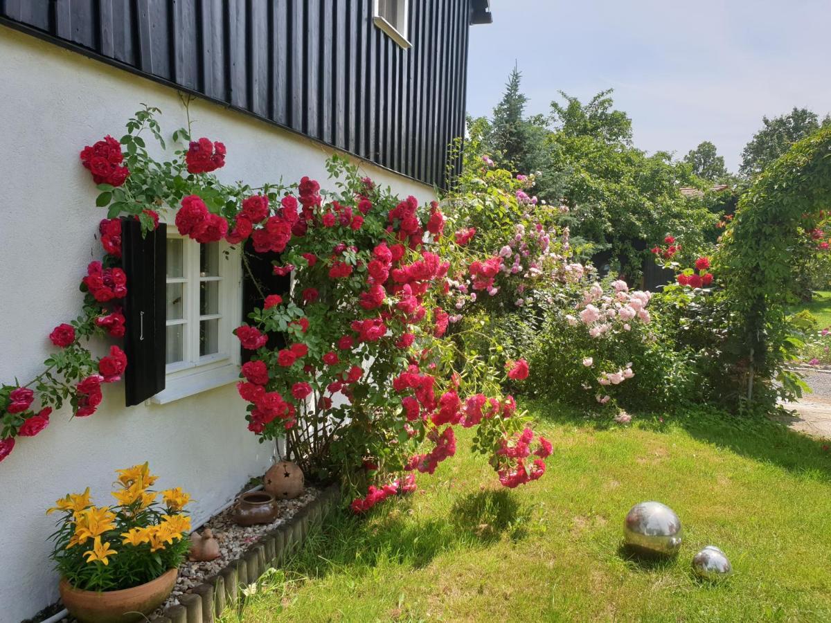 Ferienwohnung Im Dreiländereck - DOM PRZY TRZECH GRANICACH Löschney Exterior foto