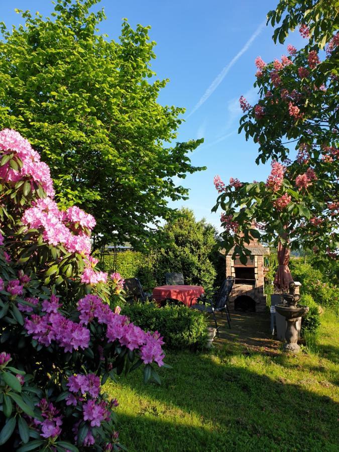 Ferienwohnung Im Dreiländereck - DOM PRZY TRZECH GRANICACH Löschney Exterior foto
